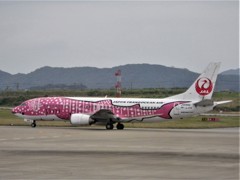 石垣空港 (2)