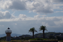 ある日の昼下がり