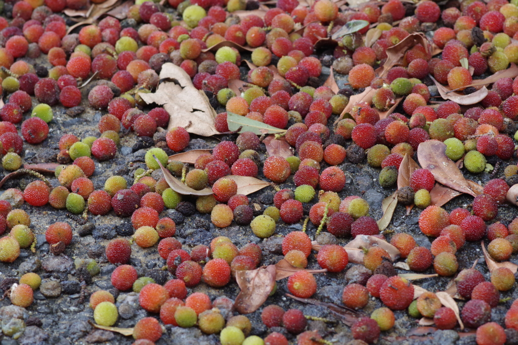 実・実・実・・・