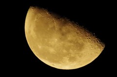 昨夜の月