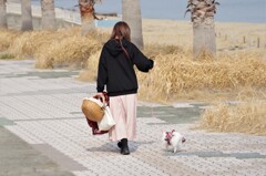 お散歩