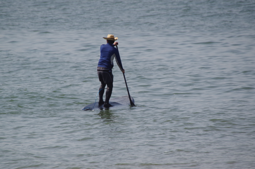 何処へ行くのですか
