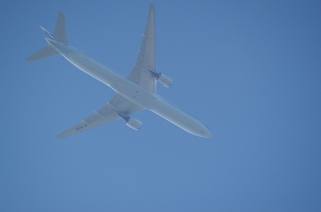 青空に向かって (1)