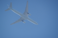 青空に向かって (1)