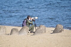 何を狙っているんでしょう・・・