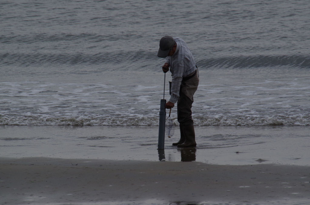 ボケ(釣り餌)を採る人