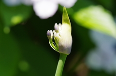 もう少し待ってね