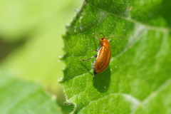 僕は、ここだよ　 (1)