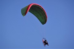 師走だというのに・・