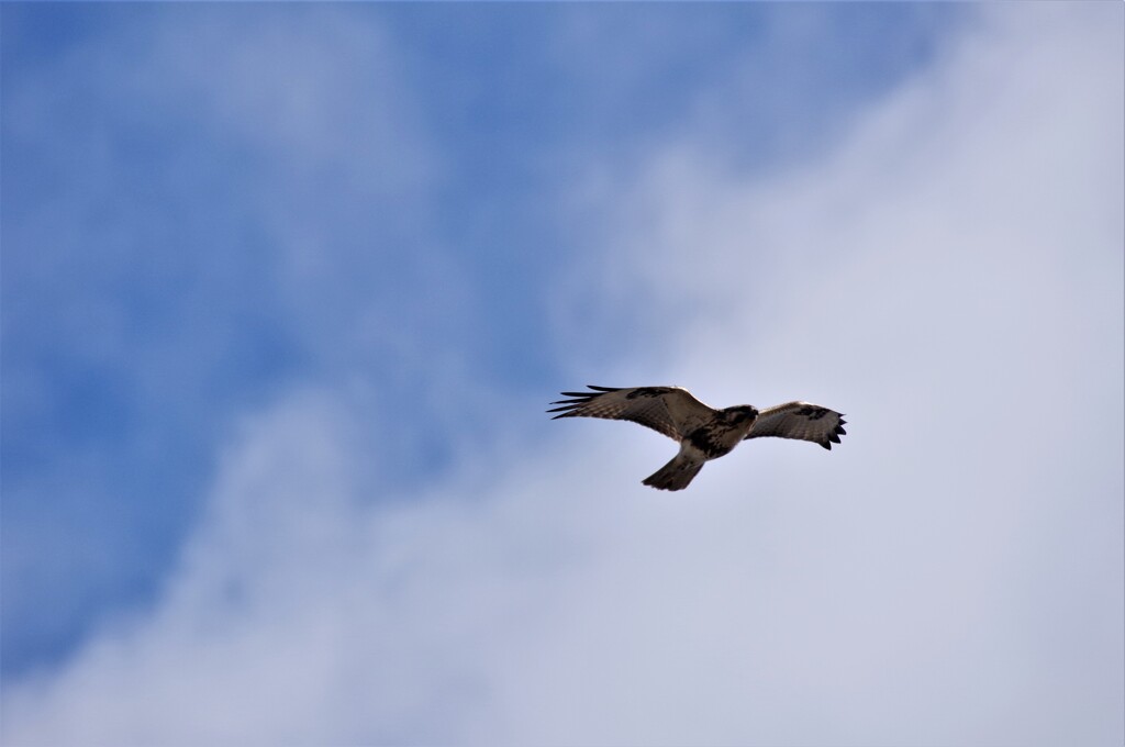 青空と・・・ (2)
