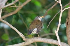 そろそろ帰ろかな (2)