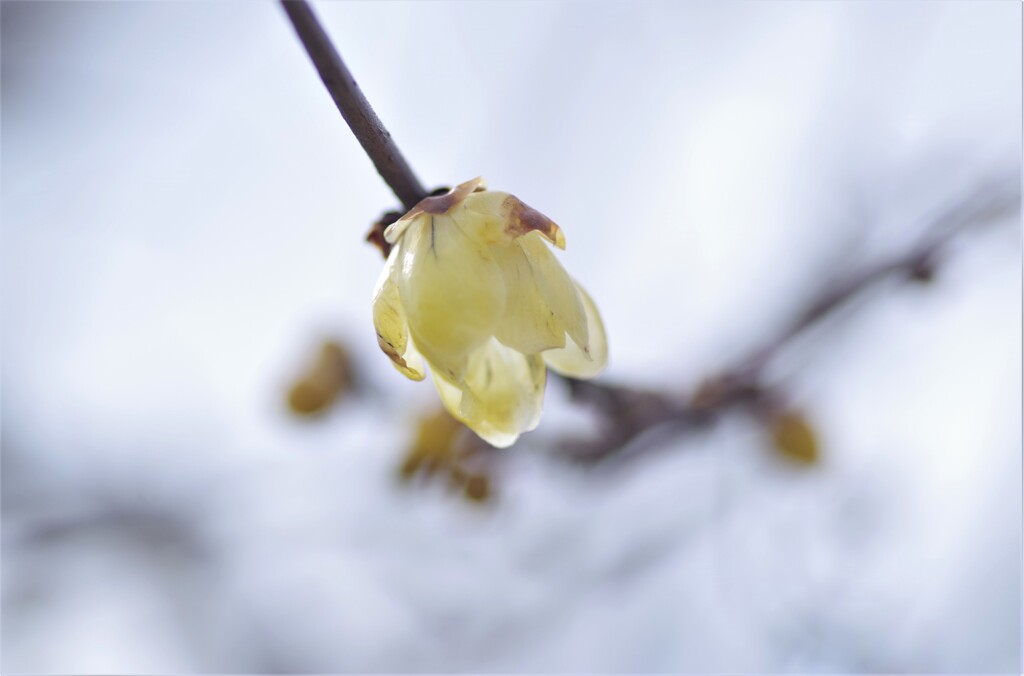 ご近所にて