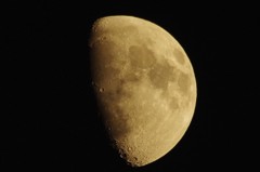 今日の月 (1)