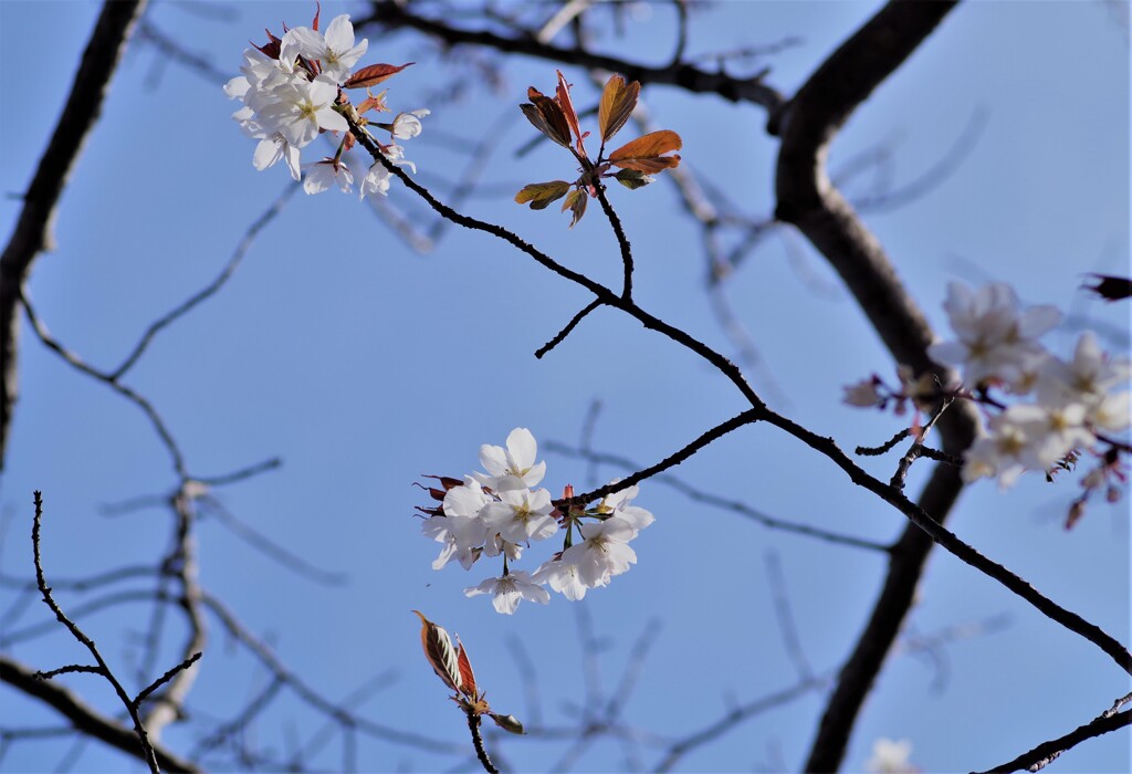 青い空