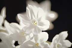 散歩中に・・・ (1)