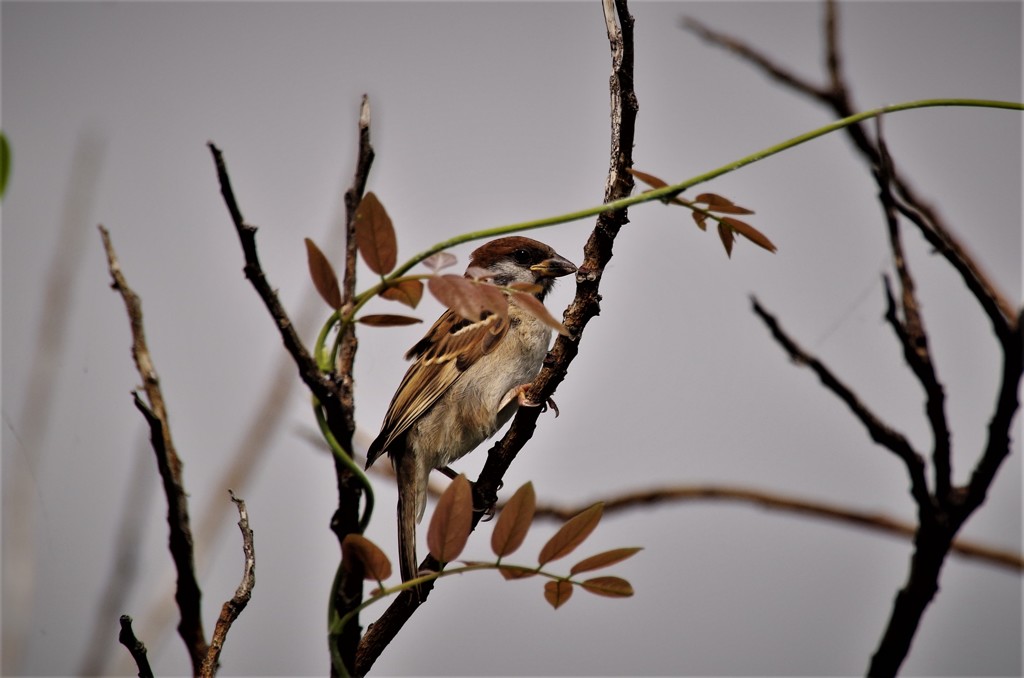何を思う・・・。