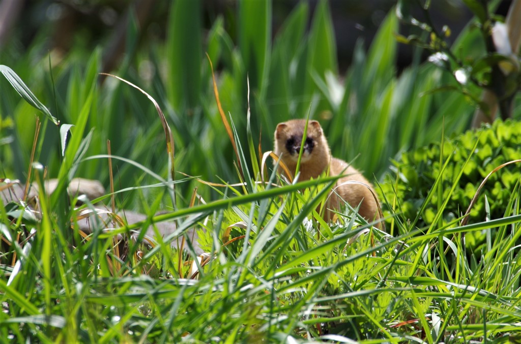 なんだぁ・・・ (1)