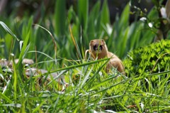 なんだぁ・・・ (1)