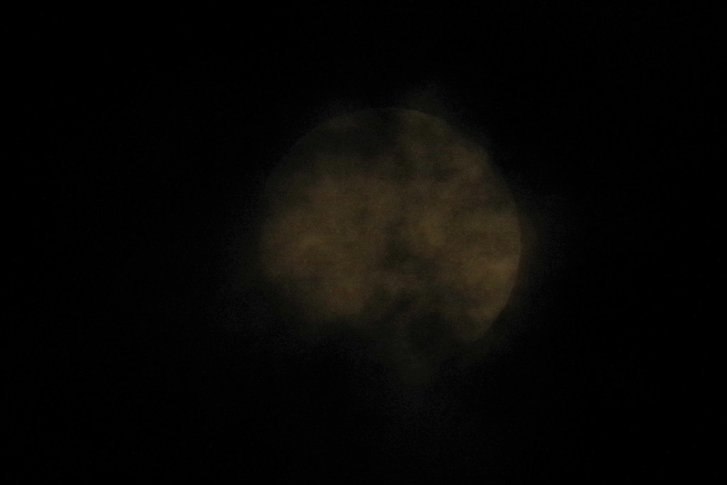昨夜の月