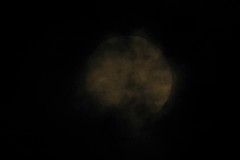 昨夜の月
