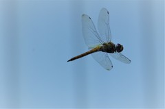 気持ちよく2