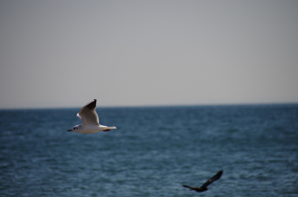 2016年2月19日 (19)