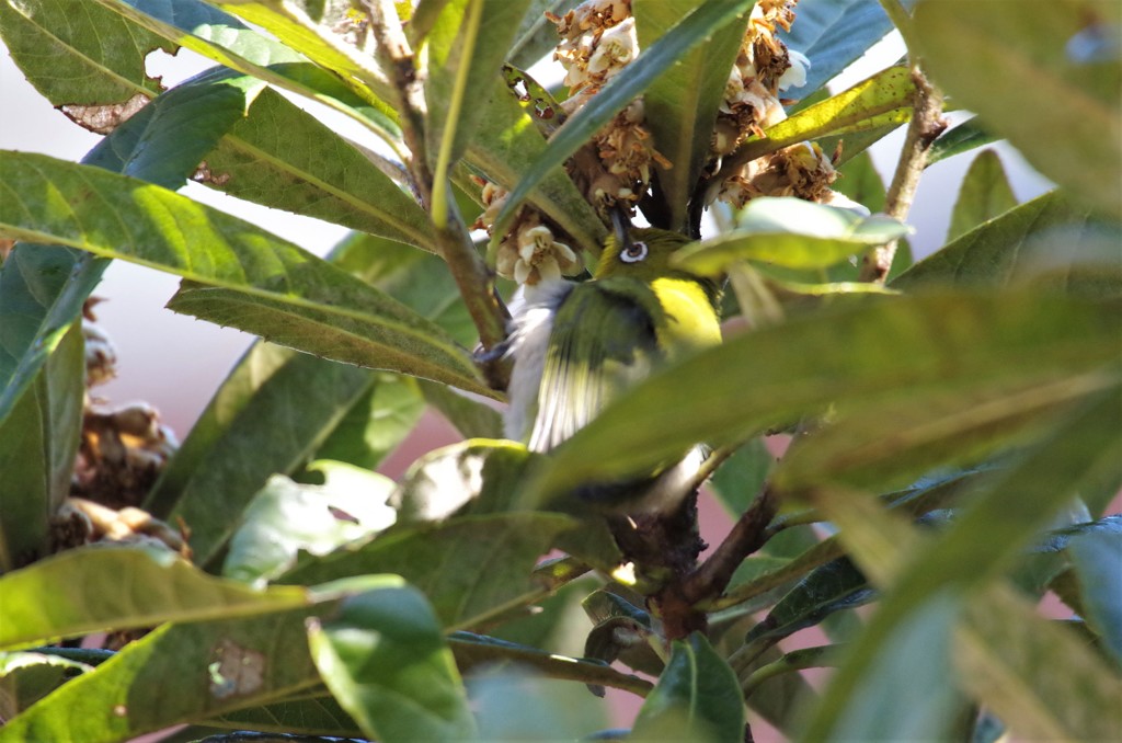 僕は、ココだよ (2)