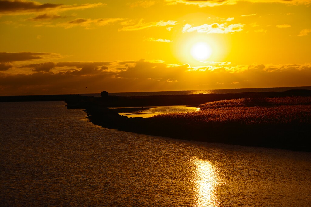 あけましておめでとうございます・・・