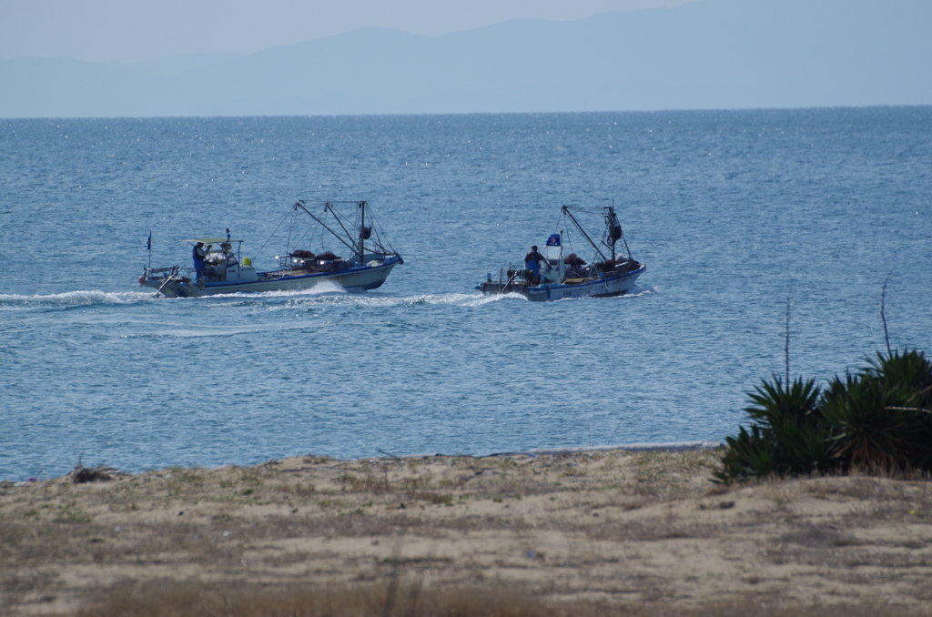 わしのが、速いぞ