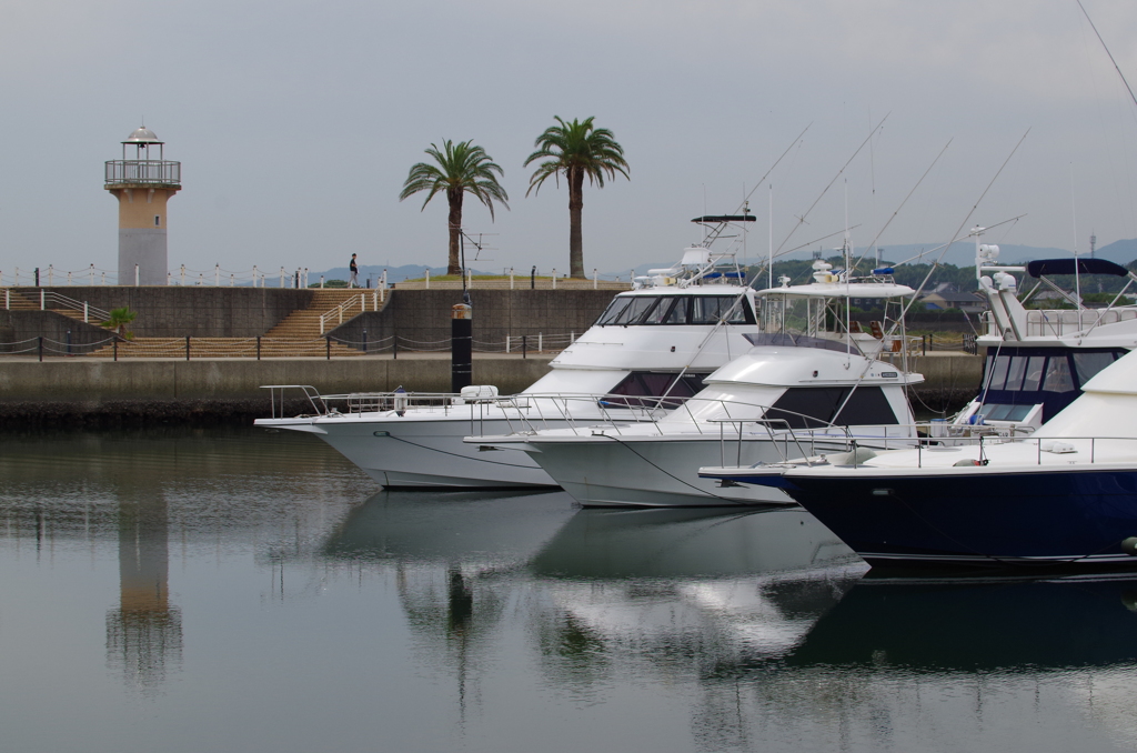 夏は、もう・・・