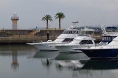 夏は、もう・・・