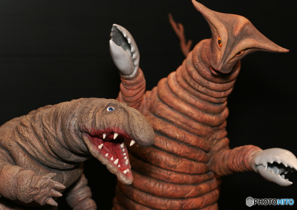 WF２０１６Ｓ_1