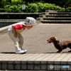 こんにちは