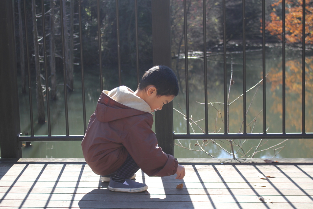 冬の晴間