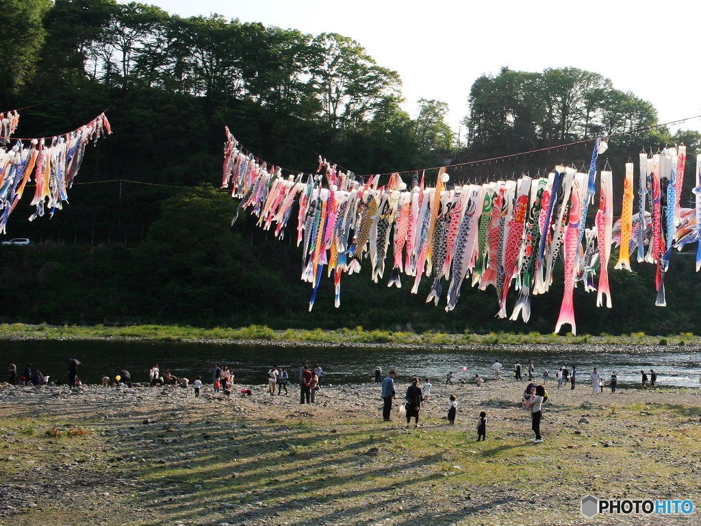 夕方の鯉のぼり
