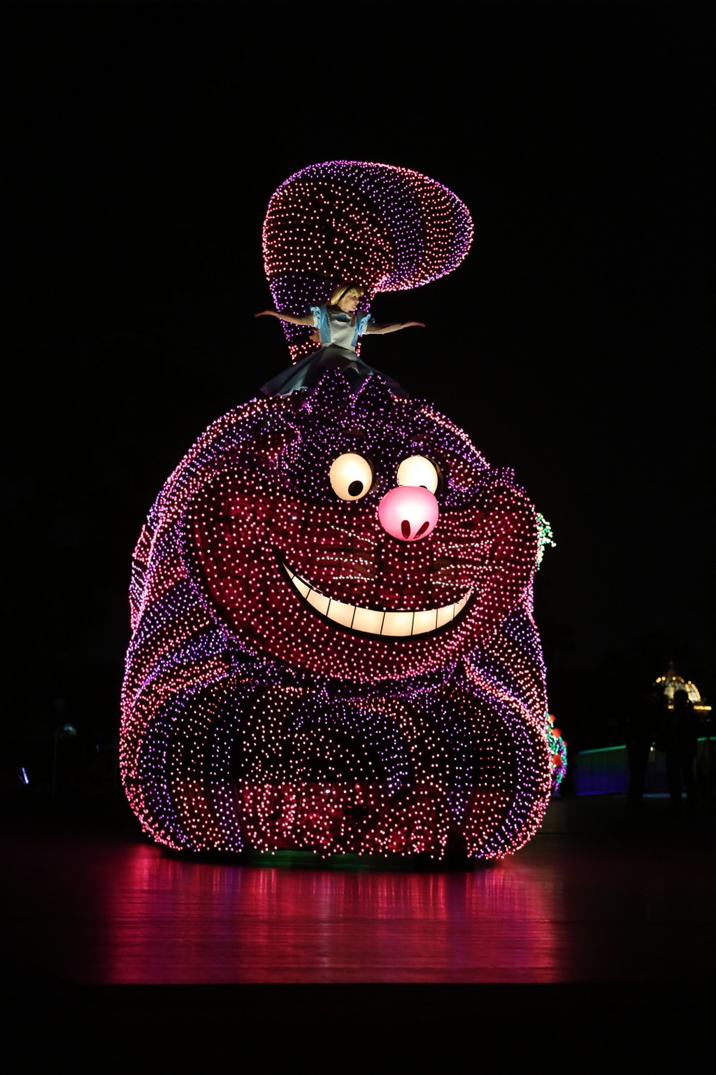 Disneyland