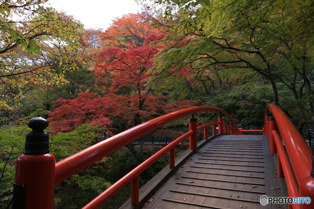 河鹿橋