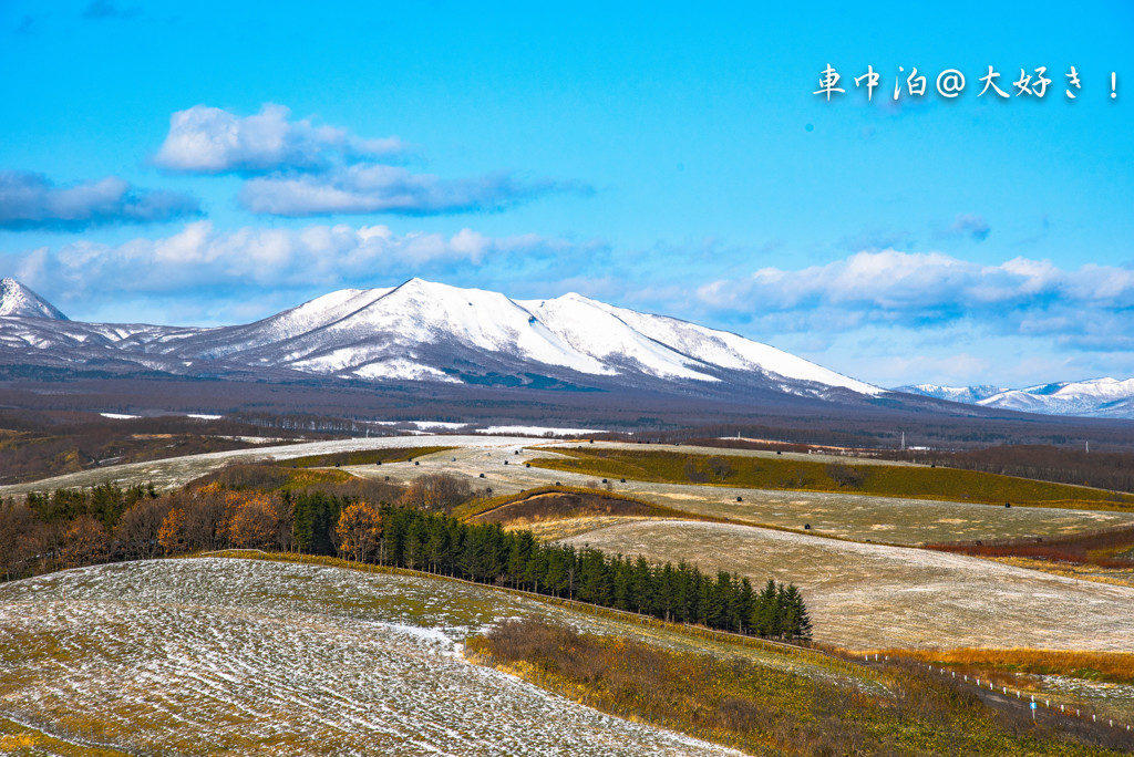 冬枯れの牧場