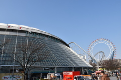 東京ドーム