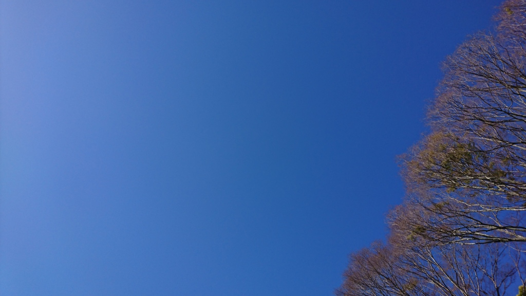 雲の無い青い空