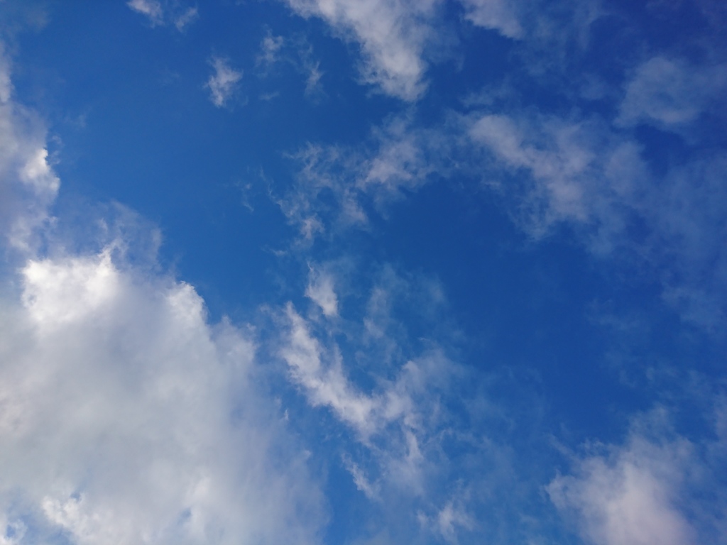 自分の真上の空を見上げたら。