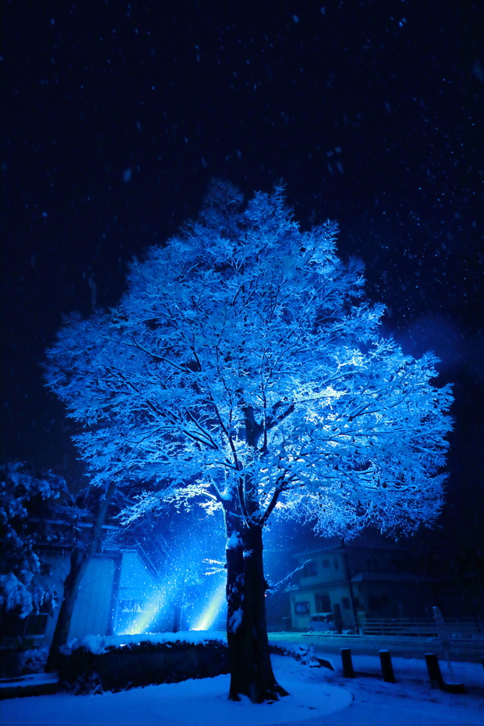 幻想