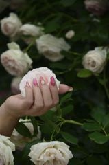 Rose　nail