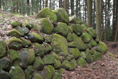 石垣