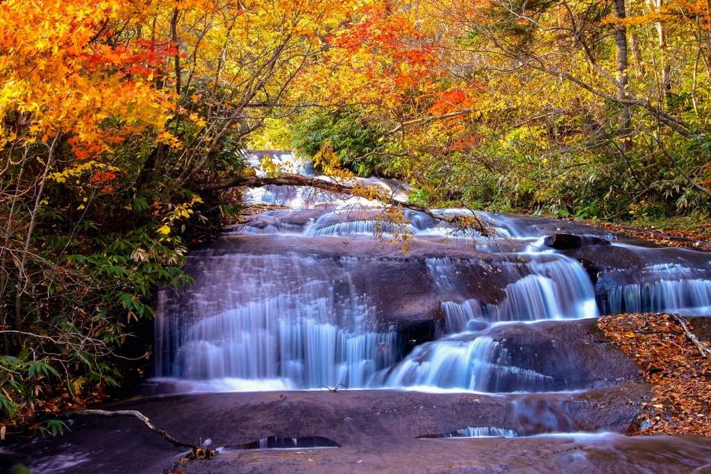 いつかの紅葉(^^;;