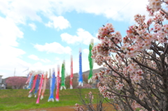 こどもの日