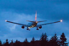 流石にノイジー(^^;;