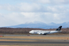 雪の樽前山とスタアラさん