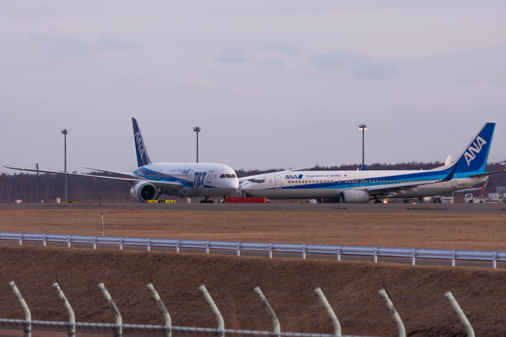 737 VS 787