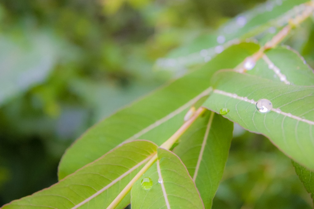 WAX効いてるね〜（笑